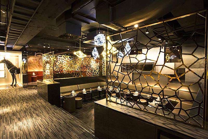 歌舞伎町ドンフィン